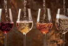 Coahuila Wine Harvest Festival 2026: Official Dates and Venues for the Region’s Top Celebrations